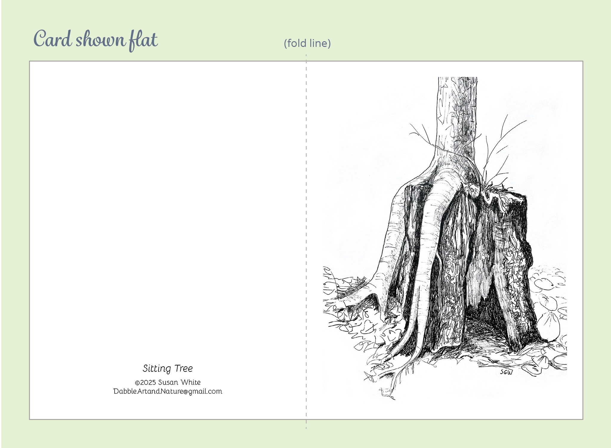 Trees Creatures Note Cards 5-Pack