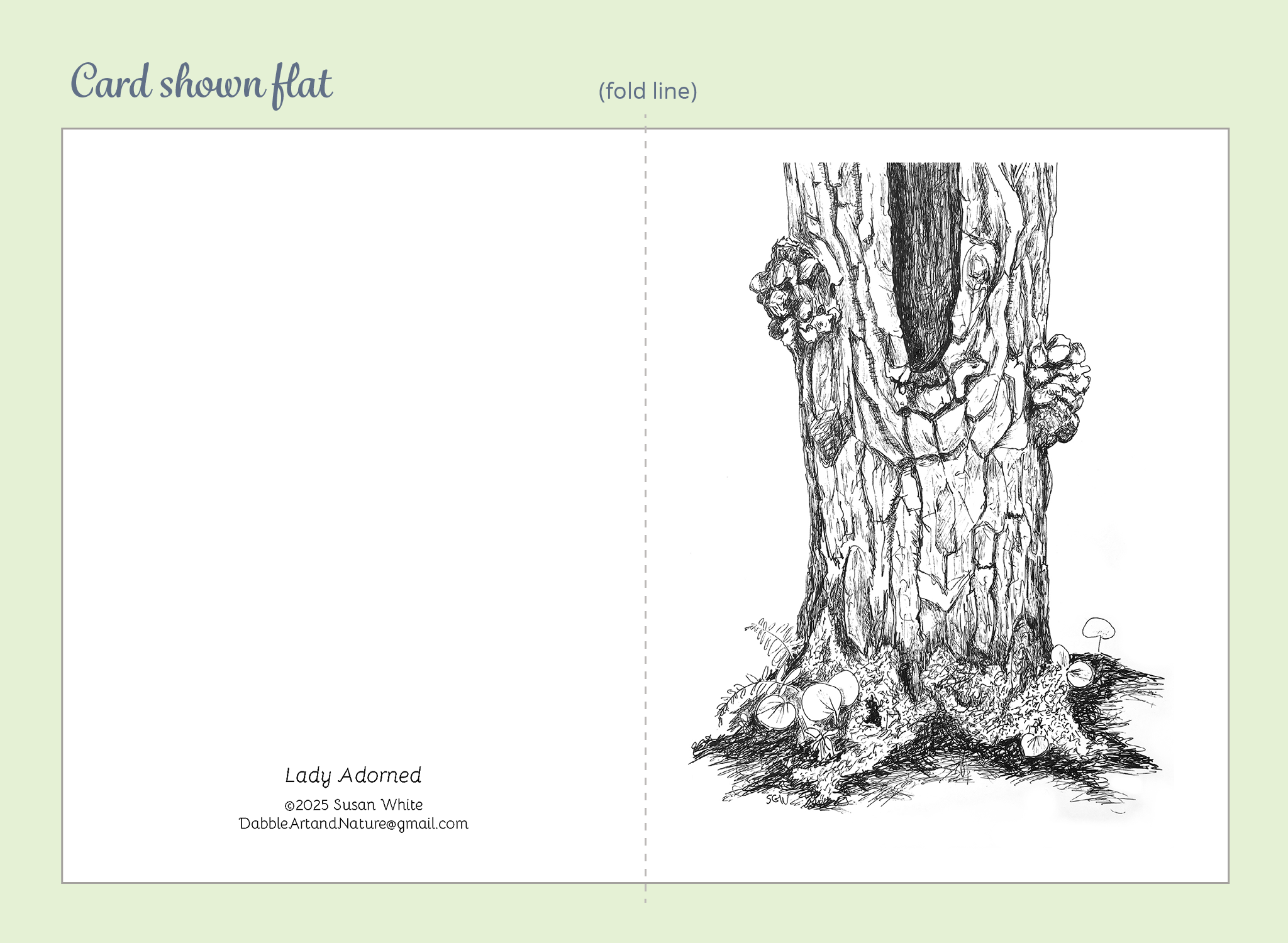 Trees Creatures Note Cards 5-Pack
