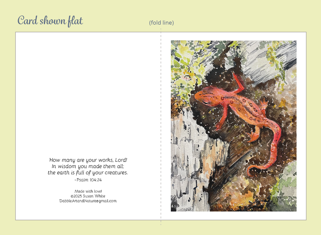 Nature Scapes Note Cards 5-Pack