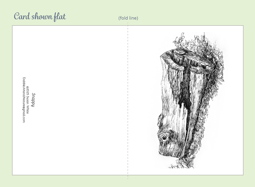 Trees Creatures Note Cards 5-Pack