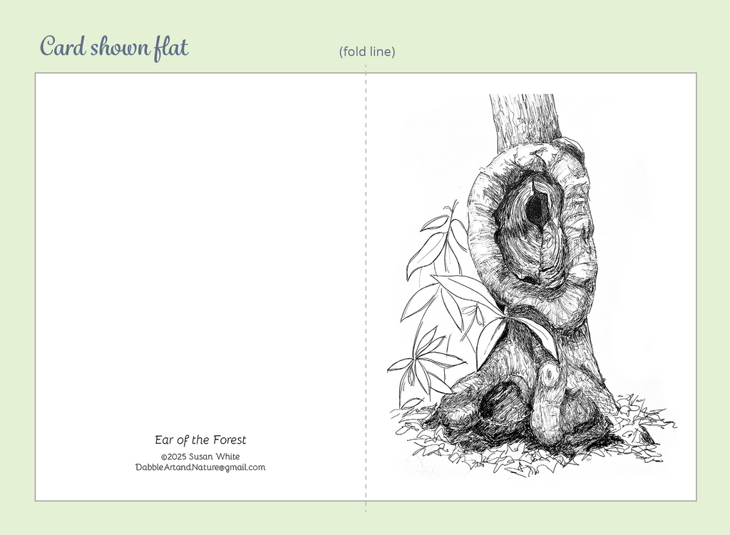 Trees Creatures Note Cards 5-Pack