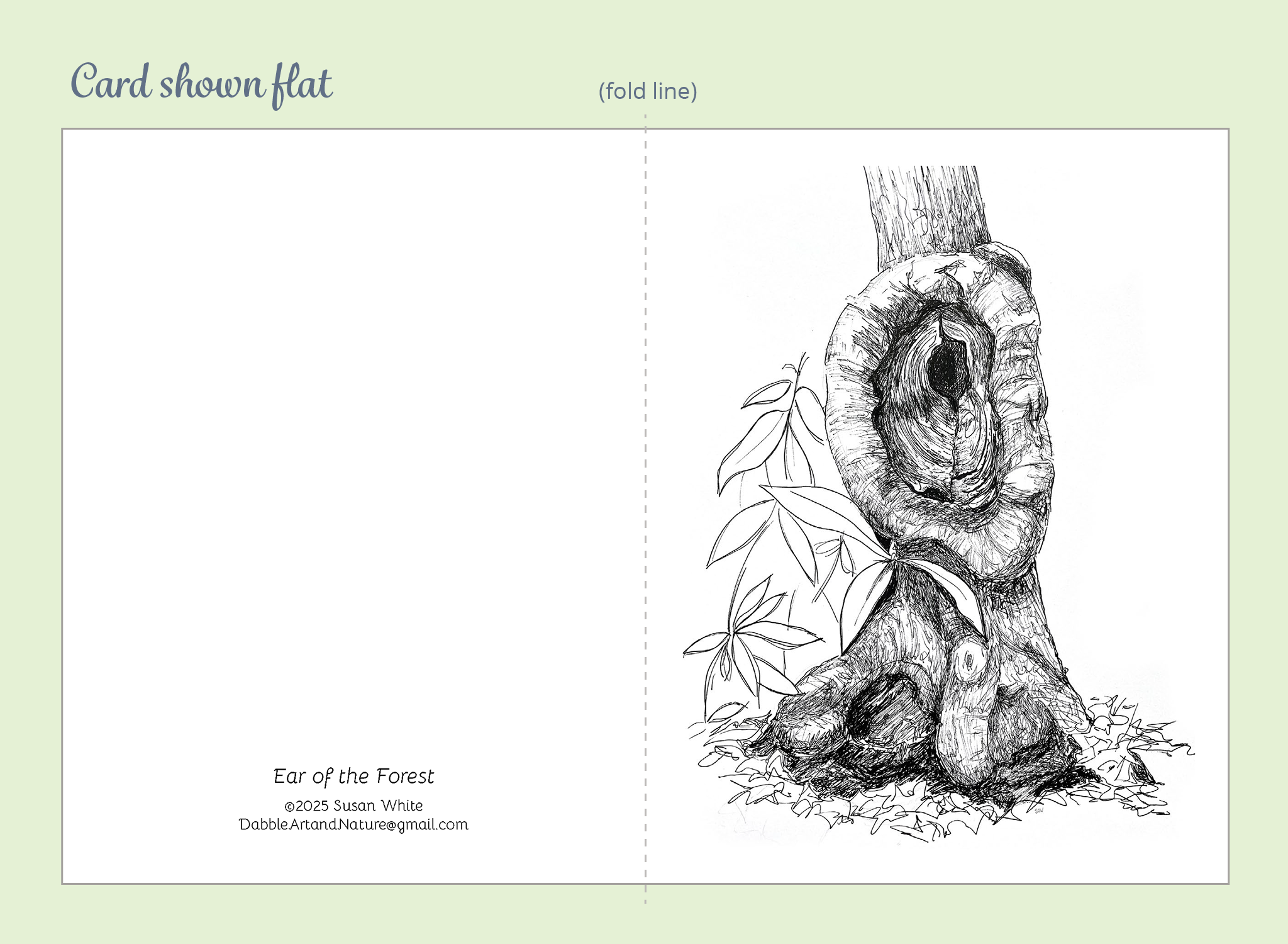 Trees Creatures Note Cards 5-Pack