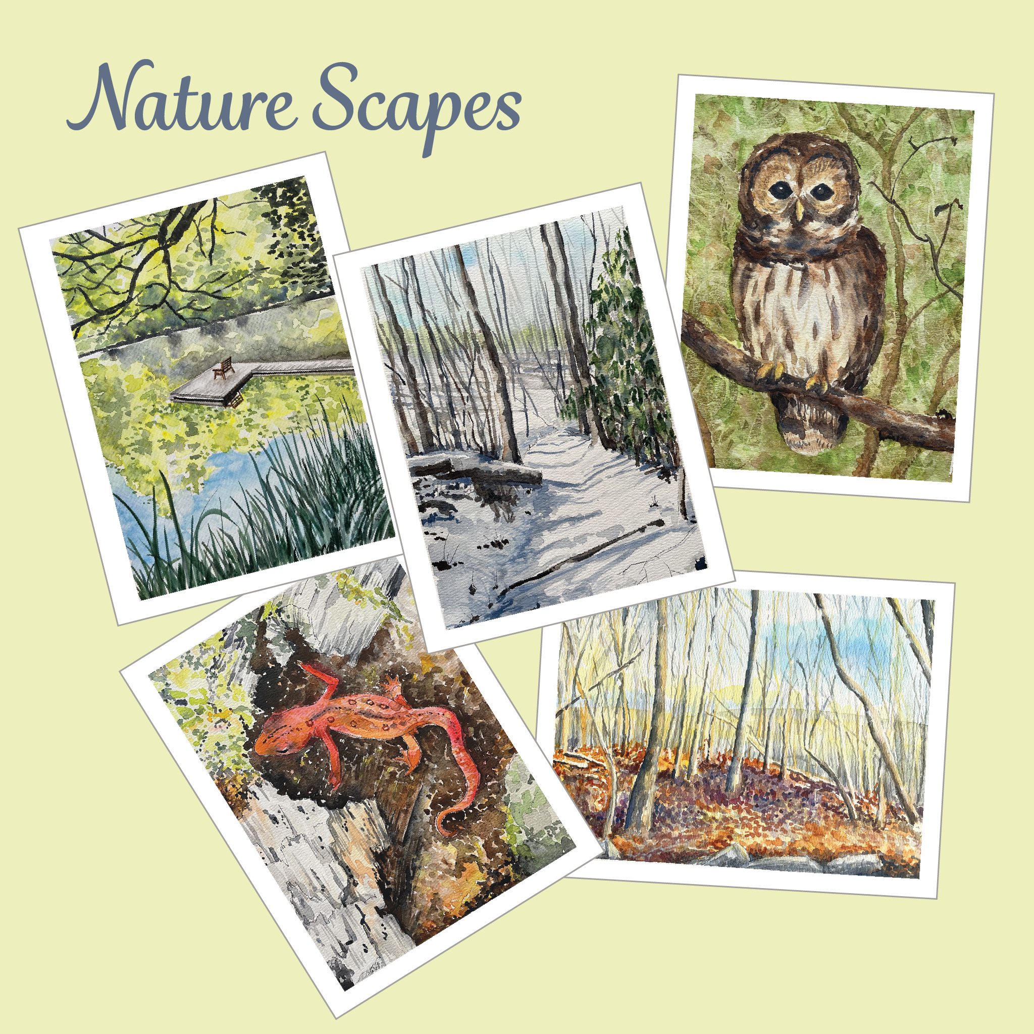 Nature Scapes Note Cards 5-Pack